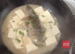 豆腐加鱼汤的做法