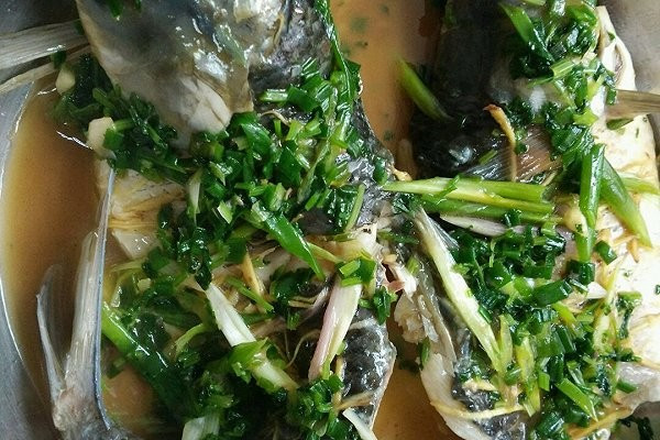 盐水炝树叶鱼的做法视频