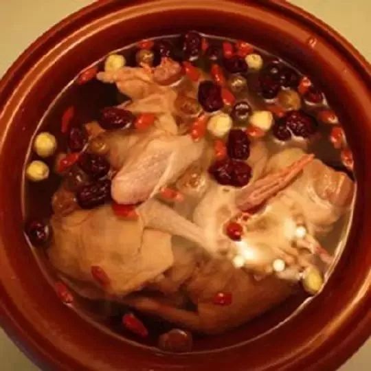 蜜枣乳鸽汤的做法大全