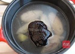 兔子灵芝汤的做法