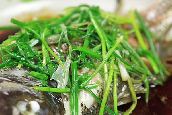 粤式蒸狮头鱼的做法