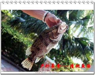 室外鱼的做法大全