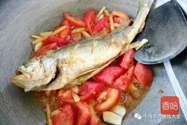 番茄软骨鱼的做法
