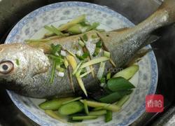 蒸黄尾鱼的做法大全