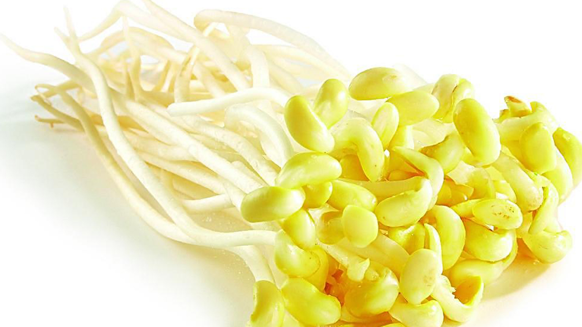 月子黄豆芽，产后恢复的绿色营养师