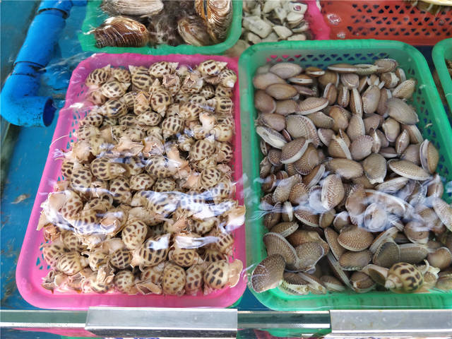 生腌蛏子，海鲜美食新体验，教你正确腌制技巧