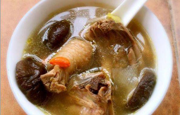 鸽子肉汤，滋养身心，简单易做的美味佳肴