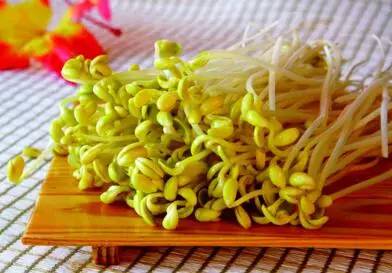 夏日清爽佳肴，凉拌菠菜豆芽的制作与养生功效