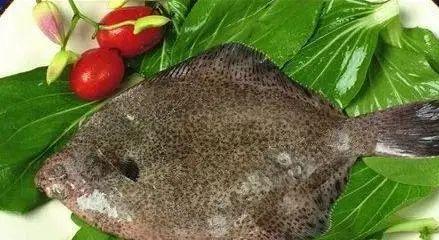 多宝鱼做汤的做法