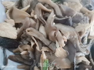 鸡和蘑菇做法大全