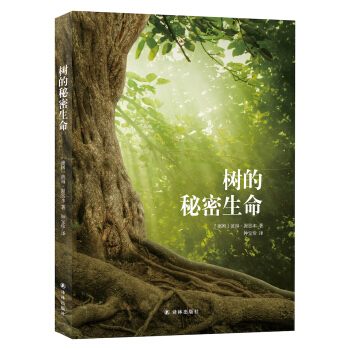 树窝的秘密，探秘神奇食材与养生之道