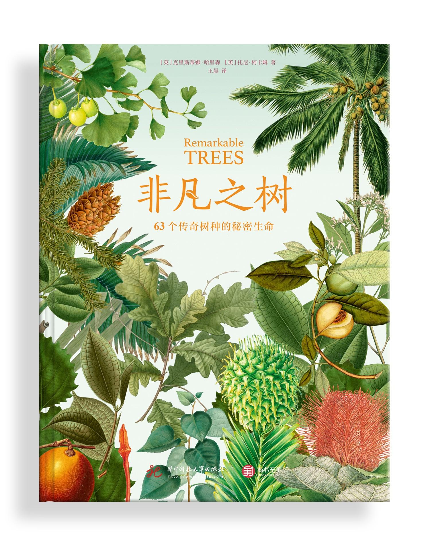 树窝的秘密，探秘神奇食材与养生之道