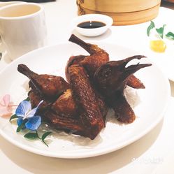 红烧鸽子的传统魅力，家常美味与营养滋补的结合