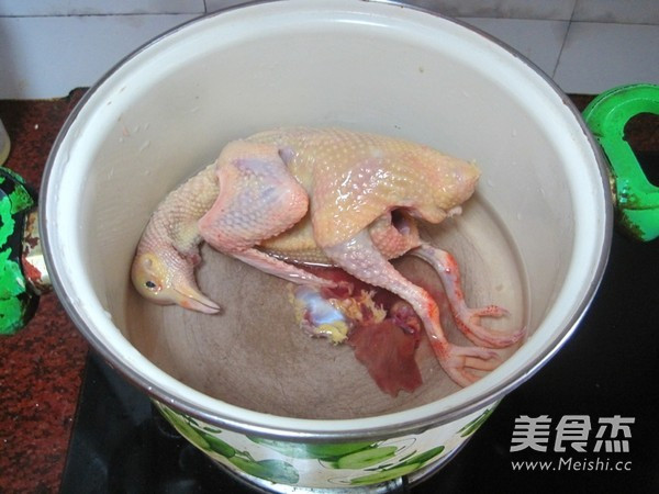 的炖乳鸽汤做法