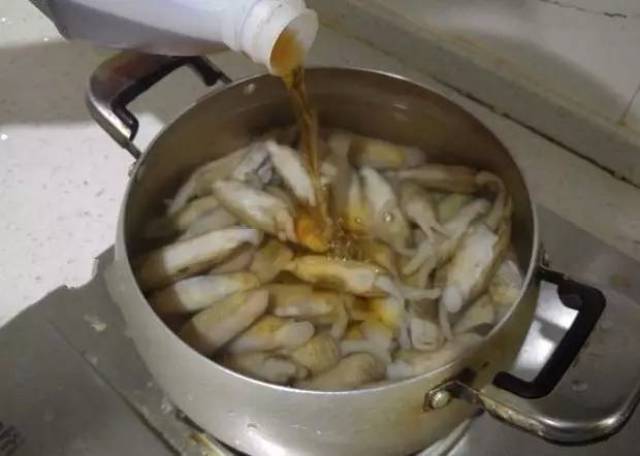 得莫利鱼的美味奥秘，详解食材、功效与家常做法