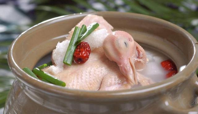 丢失的小鸽子汤做法