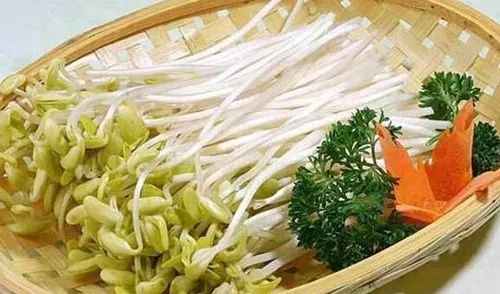 春日鲜笋美食攻略，解锁大自然的馈赠