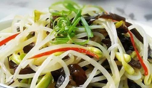 禄豆芽，绿色美食的秘密力量，营养与美味的双重享受