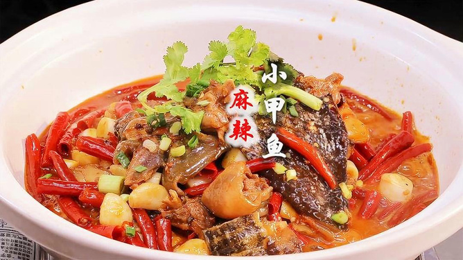 正宗甲鱼做法