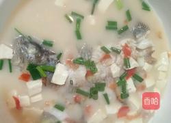 鲈鱼肉片豆腐汤的做法