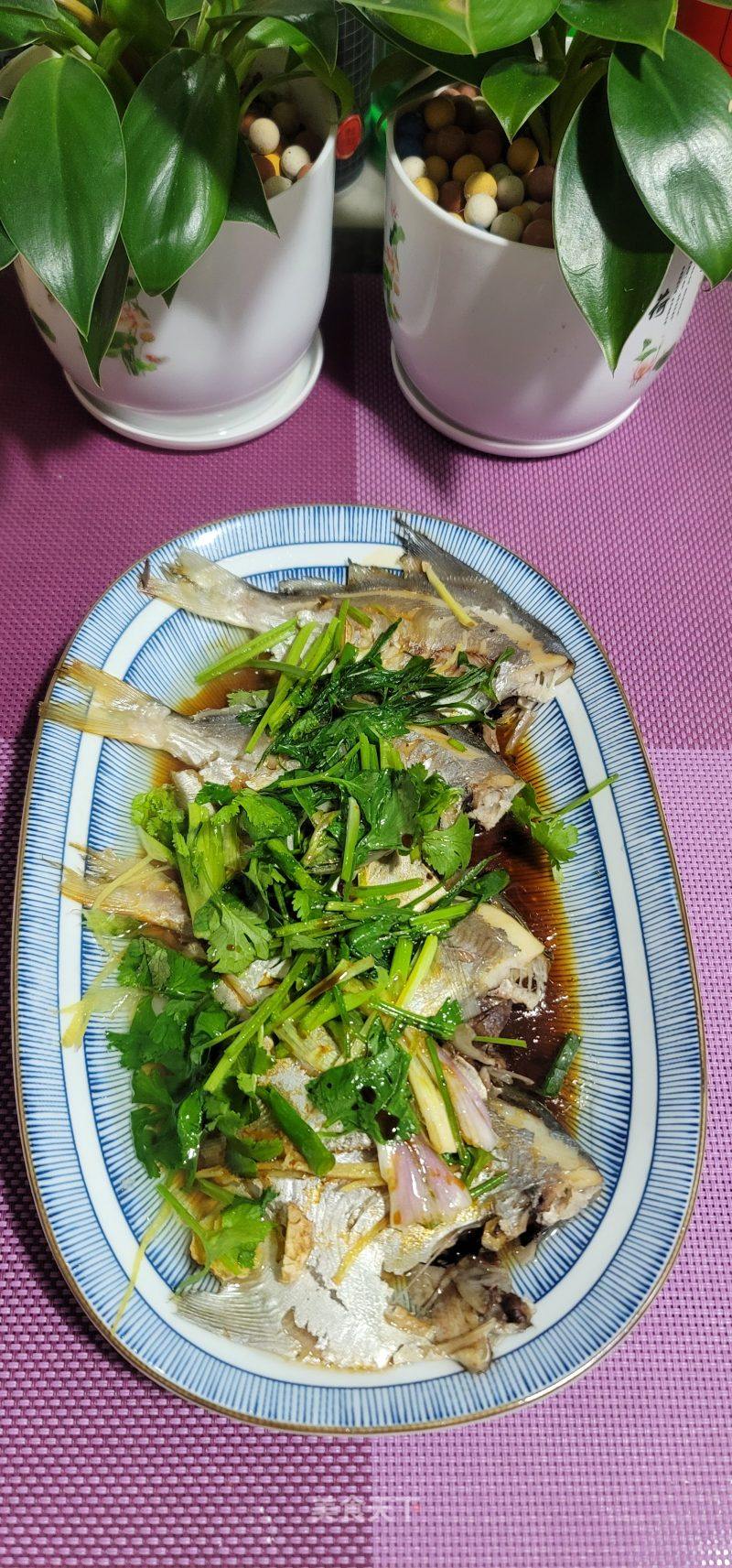 清蒸文鱼的做法大全