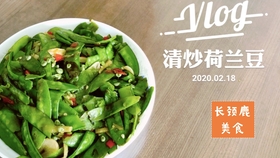 绿麦菜的营养密码，清炒绿麦菜简单做法与养生功效揭秘