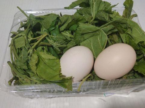 桑叶和鸡蛋的做法