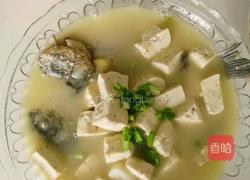 豆腐砂锅鱼的做法
