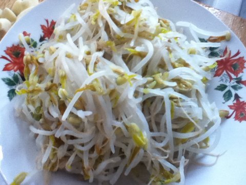 减肥豆芽鸡蛋做法视频