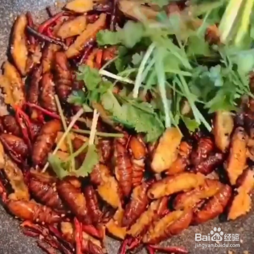 炒蚕蛹鸡蛋家常做法大全