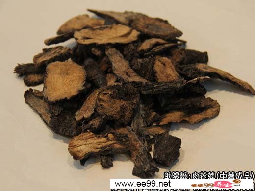 苁蓉的秘密，滋补养生，焕发活力的天然良药