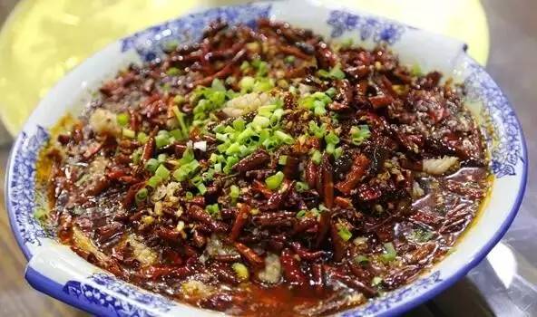 煨汤鱼的做法大全家常