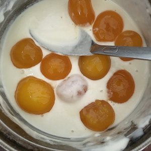 鸭蛋糖水的做法