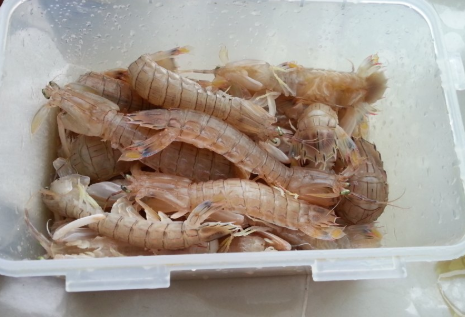 卤虾油豆腐的做法大全