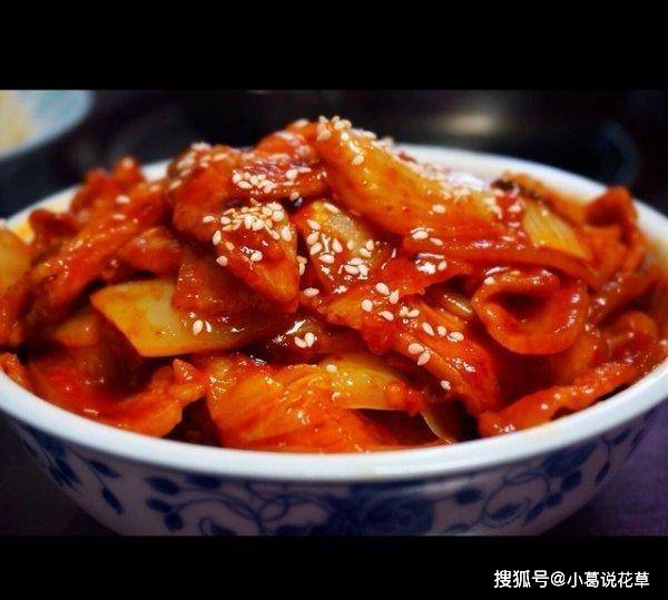 苏式肥肠豆腐煲，醇香四溢的美味佳肴