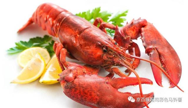 龙虾子，海鲜美食中的珍品，烹饪技巧大揭秘