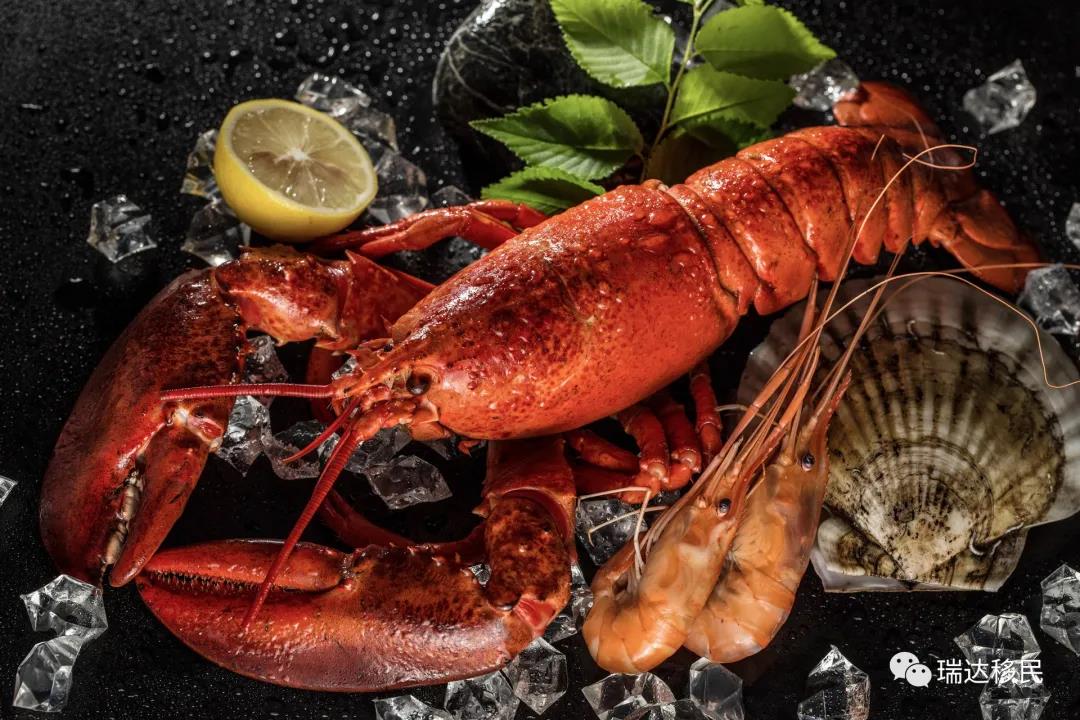 龙虾子，海鲜美食中的珍品，烹饪技巧大揭秘