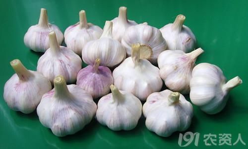 大蒜的神奇魅力，家常食材的健康秘方