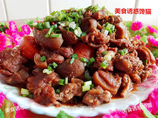 红烧红烧猫肉的做法