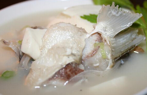泥鳅豆腐炖鱼，滋补养生美食的制作与功效解析