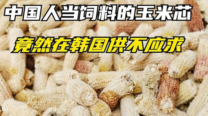 玉米芯的神奇妙用，从食材到家居，解锁它的多元价值