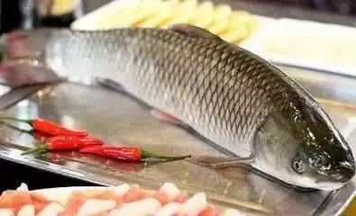 草鱼段烧豆腐，家常美食的鲜美碰撞
