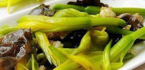野艾叶的绿色魅力，养生佳品，家常美食的制作秘诀
