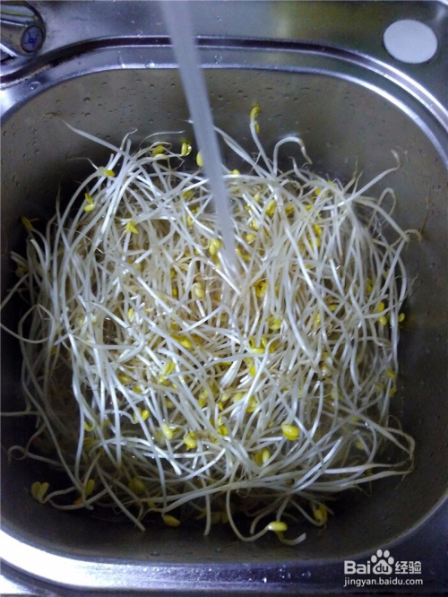 肉片豆芽汤的家常做法
