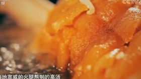 云南黄豆腐，传统美食的魅力与家常做法解析