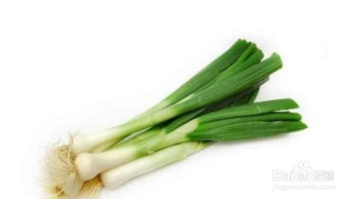 小炉鱼，传统美食的魅力与家常做法解析