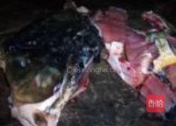 白色鱼排做法
