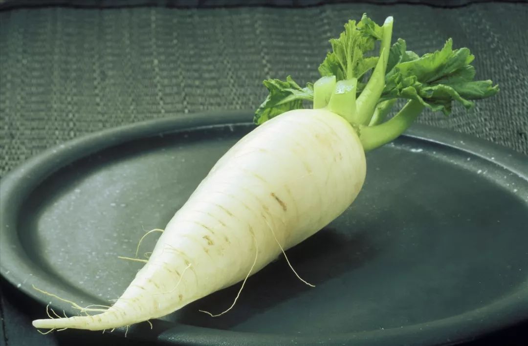 白萝卜片的秘密，家常美食中的健康守护者