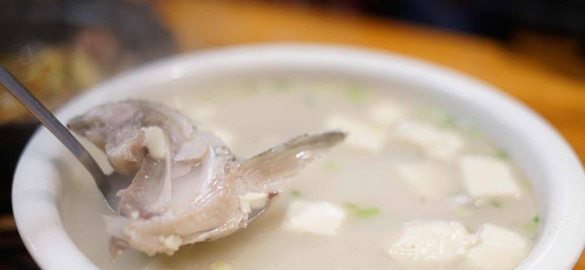 醇香滋补的秘诀，自制美味奶汤全攻略