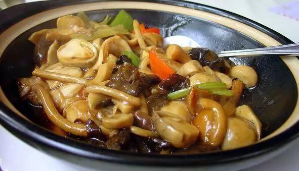 菌香四溢，营养满分，牛肝菌炒豆腐丝的美味秘籍